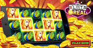 winbd app